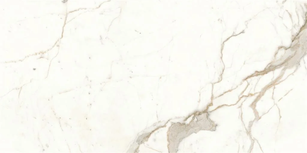 albendo202609201327312976750