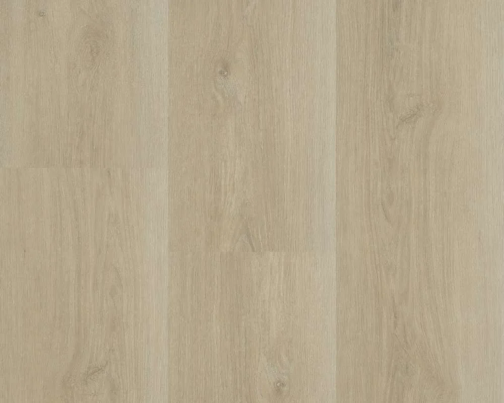 hellofloor202609201134462958756