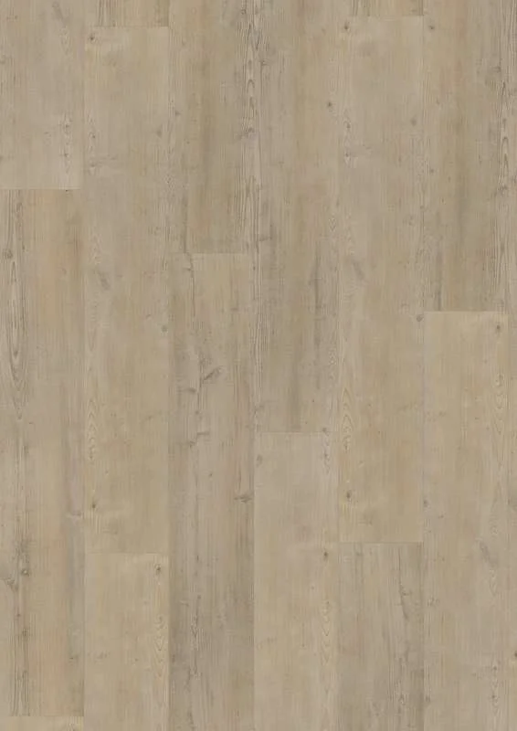 hellofloor202609201137592959081