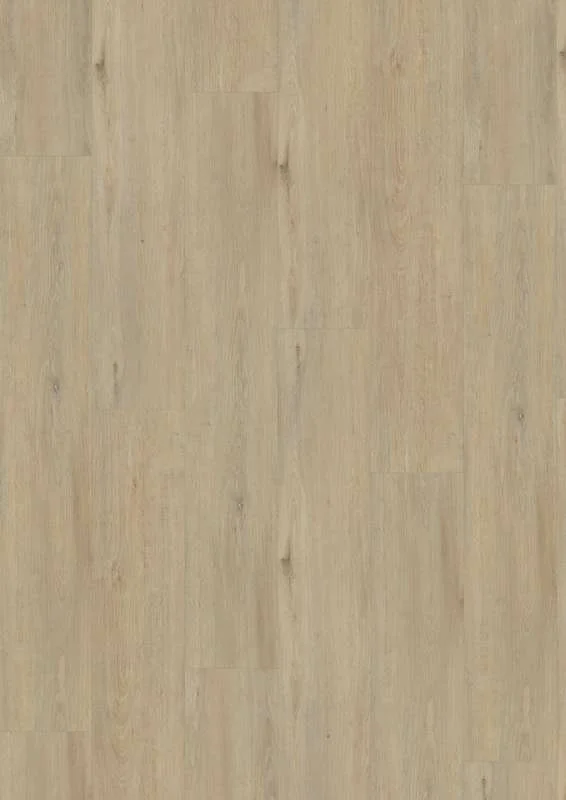 hellofloor202609201138292959132