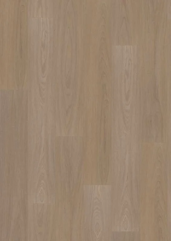 hellofloor202609201139222959229