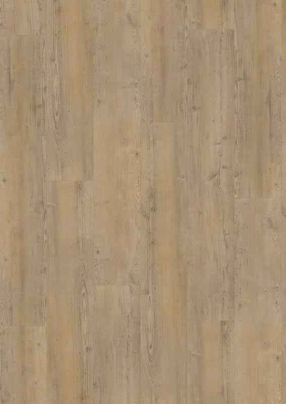 hellofloor202609201141512959519