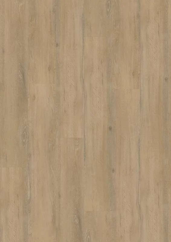 hellofloor202609201143462959726