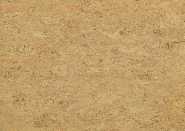 hellofloor202609201151182960544