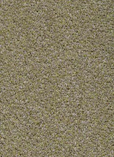 hellofloor202609201200412961551