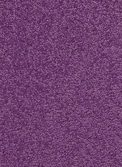 hellofloor202609201204322962043