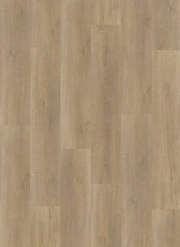 hellofloor202609201214232963457