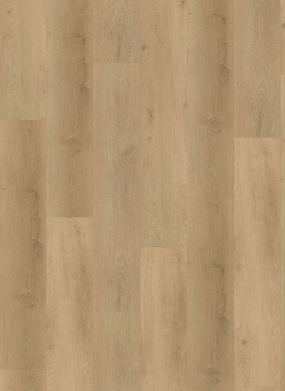 hellofloor202609201222152964655