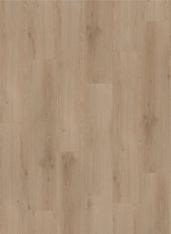 hellofloor202609201230282966026