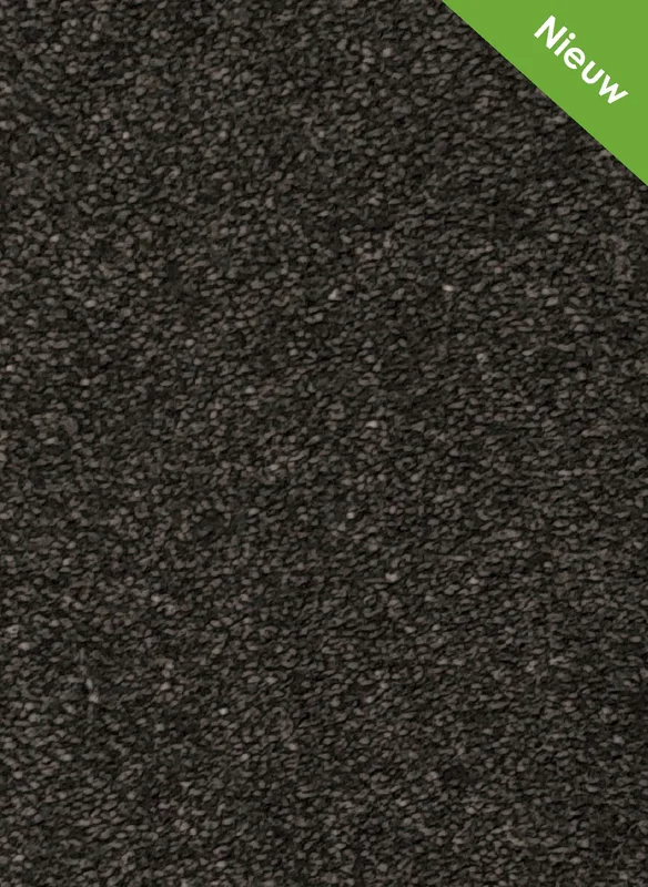 hellofloor202609201231122966156