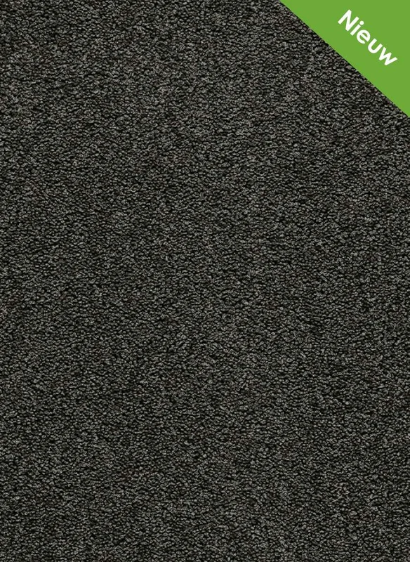 hellofloor202609201232402966405