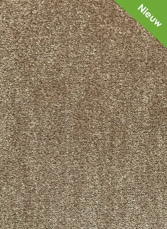 hellofloor202609201232532966440