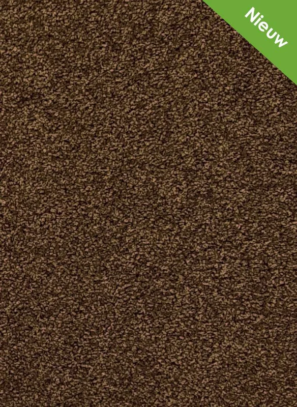hellofloor202609201233512966588