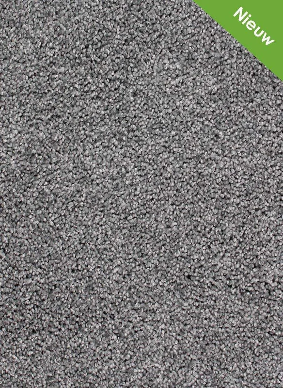 hellofloor202609201234132966654