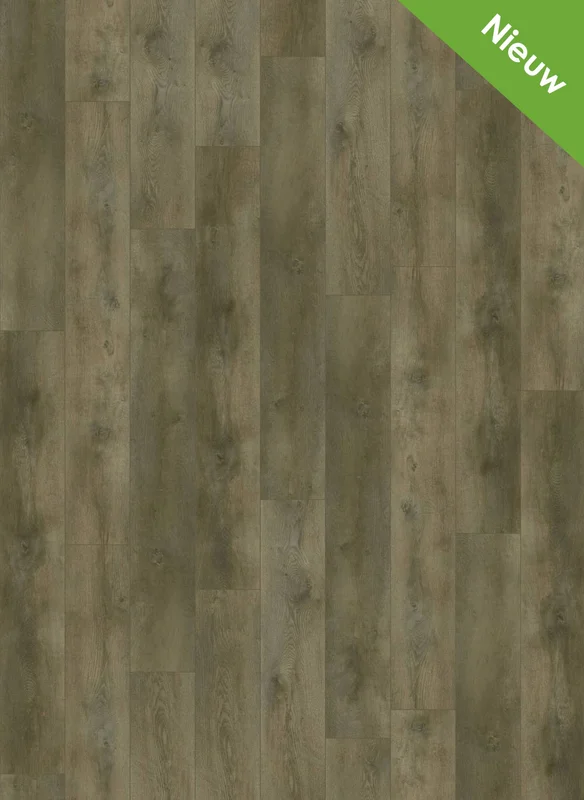hellofloor202609201234362966719