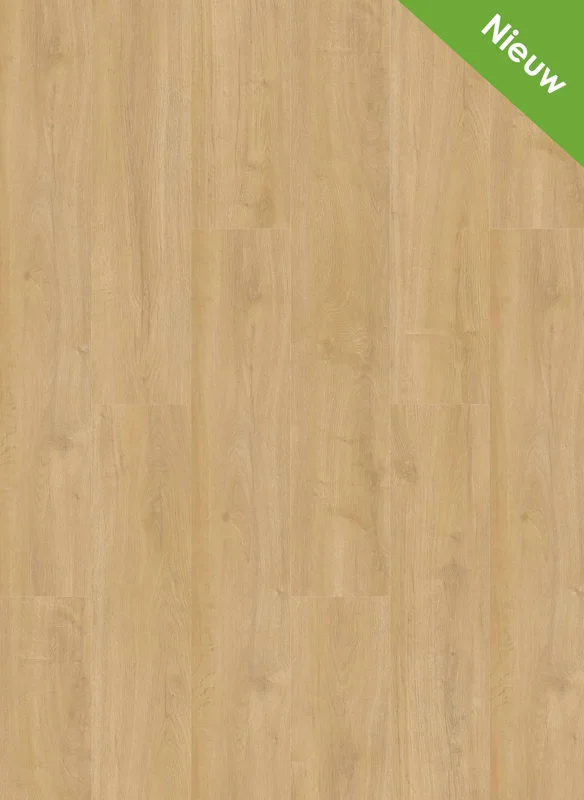 hellofloor202609201234572966778