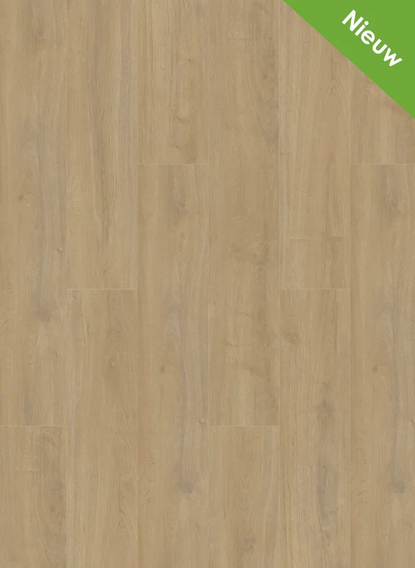 hellofloor202609201234582966780