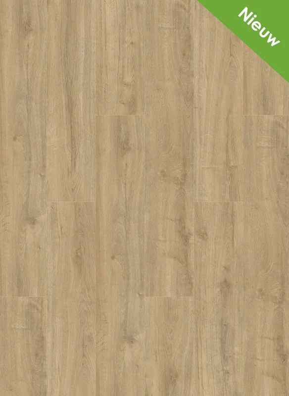 hellofloor202609201235192966842