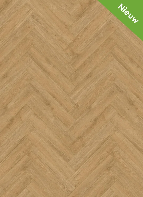 hellofloor202609201235362966888