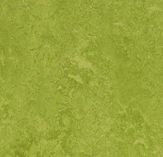 hellofloor202609201240412967722
