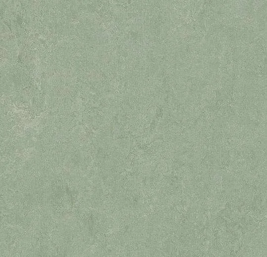 hellofloor202609201240462967735