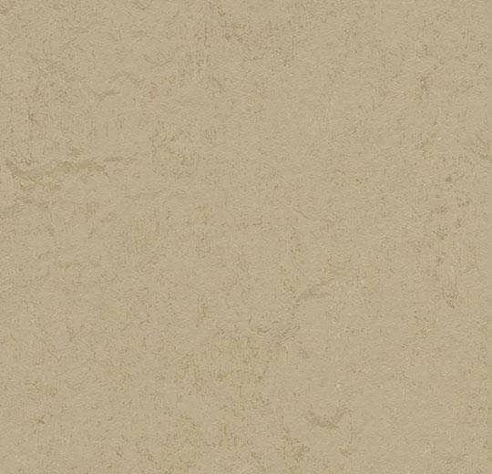 hellofloor202609201242232968039