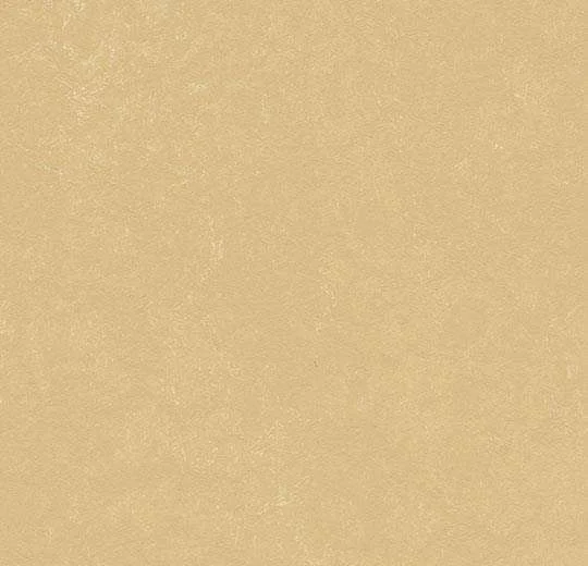hellofloor202609201242332968066