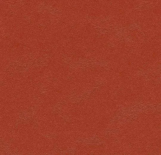 hellofloor202609201244222968383