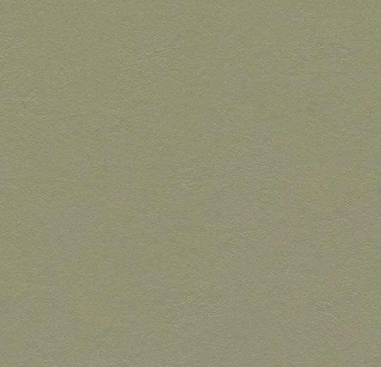 hellofloor202609201244402968434