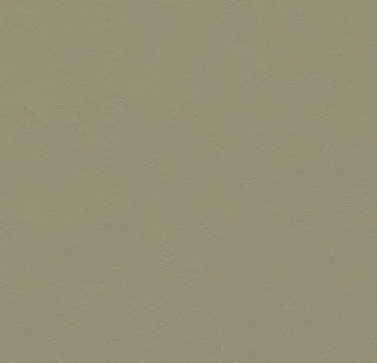 hellofloor202609201244562968490