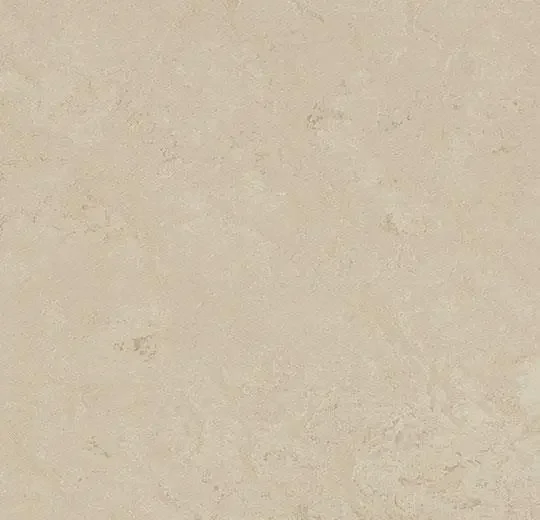 hellofloor202609201245142968544