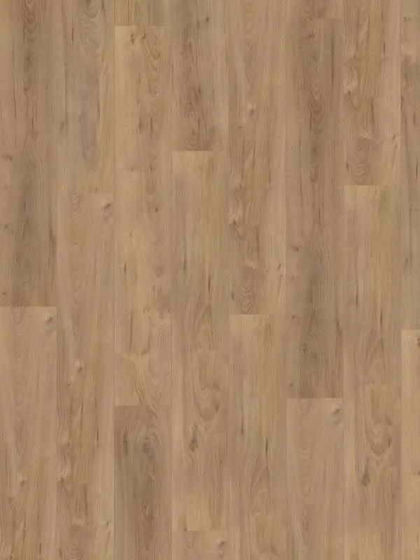 hellofloor202609201246412968797