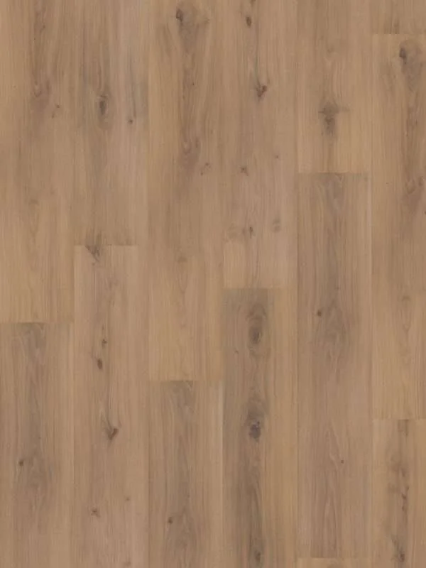 hellofloor202609201247072968887