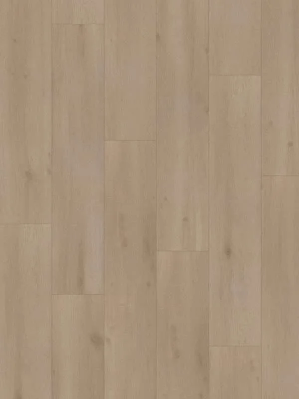 hellofloor202609201247322968966