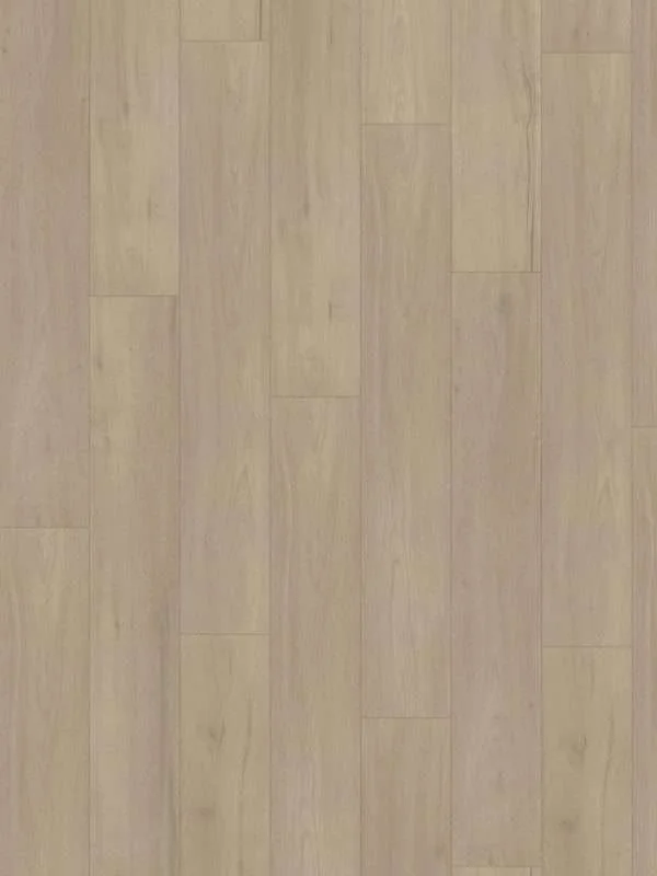 hellofloor202609201247542969032