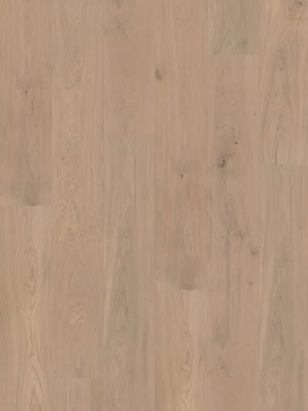 hellofloor202609201248092969086