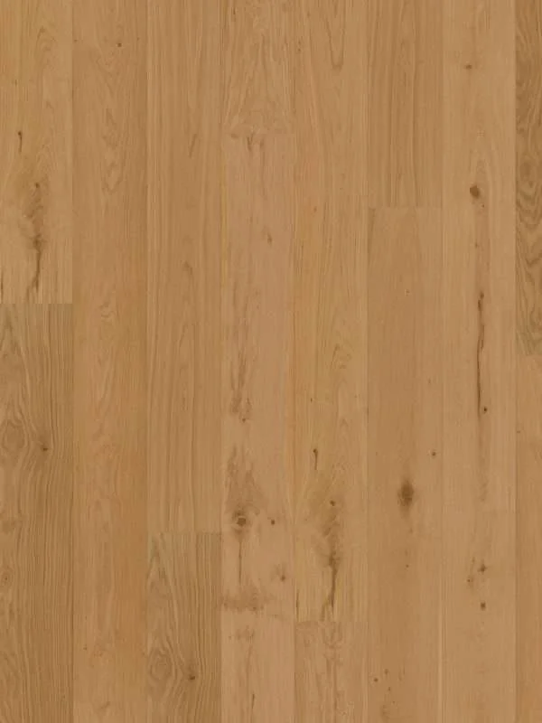 hellofloor202609201248122969099