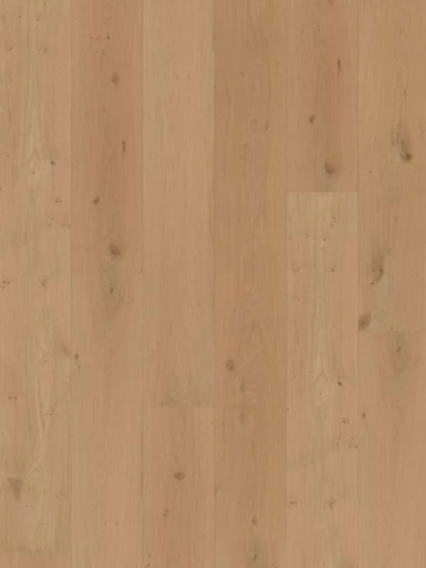 hellofloor202609201248172969114