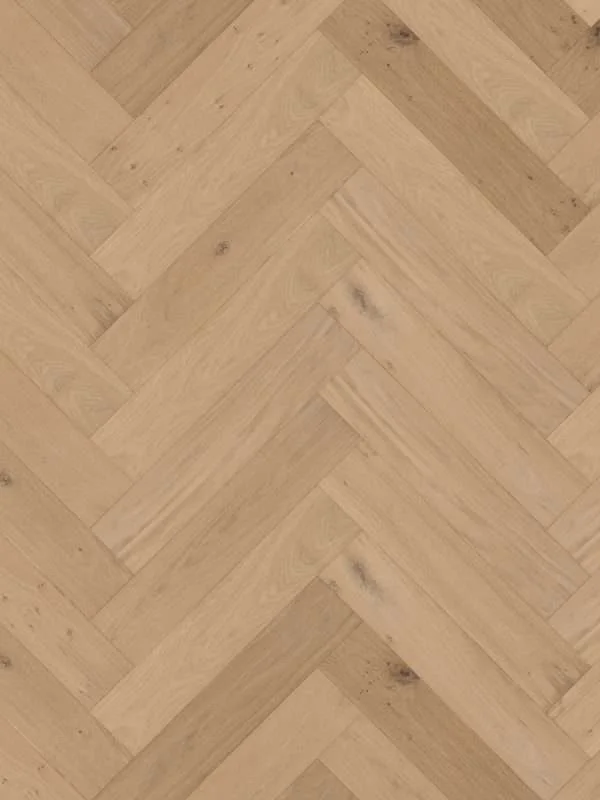 hellofloor202609201248272969152