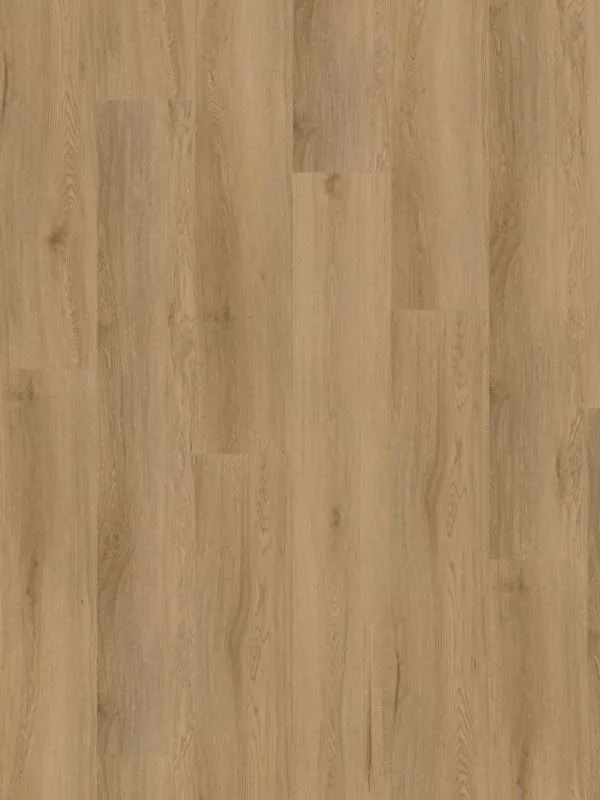 hellofloor202609201248412969192
