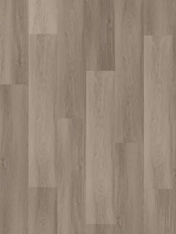 hellofloor202609201249502969419