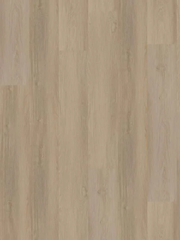 hellofloor202609201249522969427