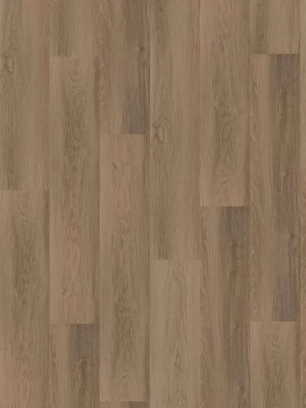 hellofloor202609201249542969430