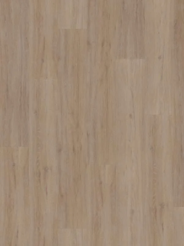 hellofloor202609201250182969507