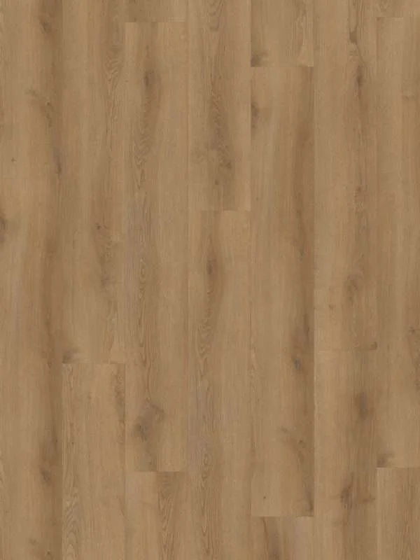 hellofloor202609201250232969522