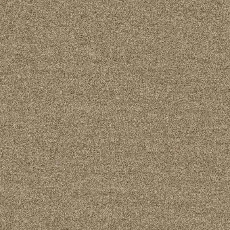 hellofloor202609201250412969581