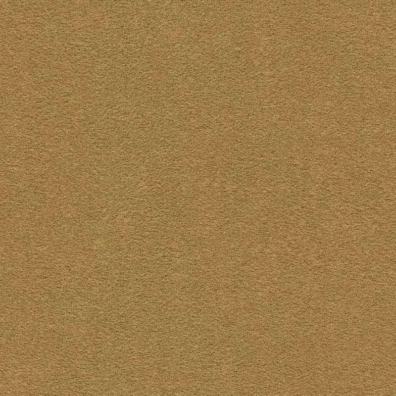 hellofloor202609201302512972040