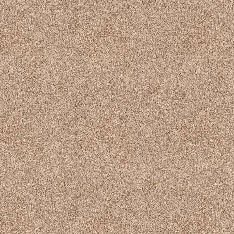 hellofloor202609201304092972297