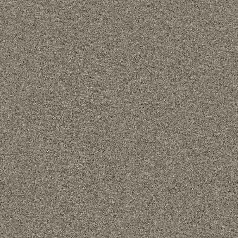 hellofloor202609201305512972628