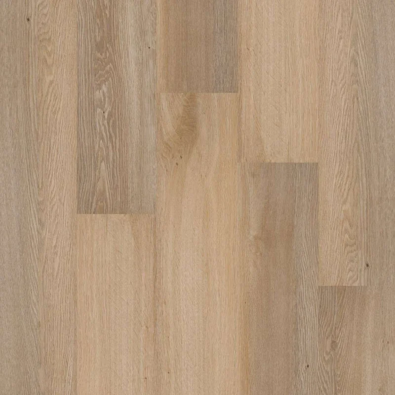 hellofloor202609201339212979050